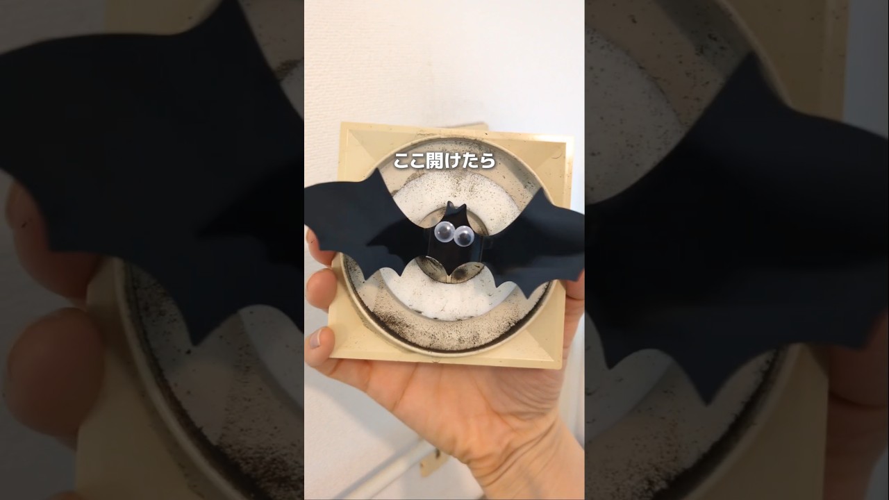 【換気口にコウモリ! ❘ 住んでないかチェックして掃除しよう】 