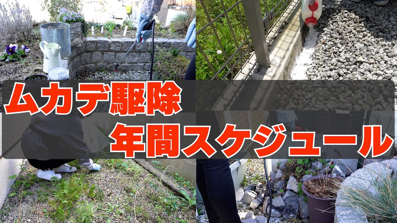 【ムカデ駆除】年間通じてのムカデ対策方法！ムカデの越冬を防ぐ方法 ムカデ侵入防止方法 ムカデ繁殖防止方法のご紹介