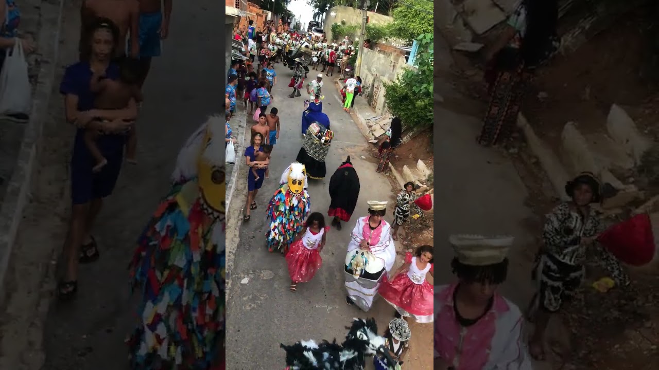 PARTICIPAÇÃO DO BOI TIRA-TEIMA NO ENCONTRO DE BOIS EM OLINDA I CORTEJO PELAS RUAS