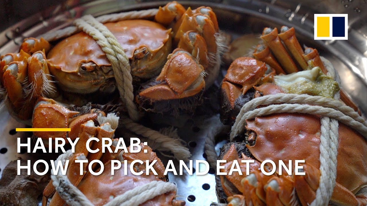 Why hairy crab is all the craze in China