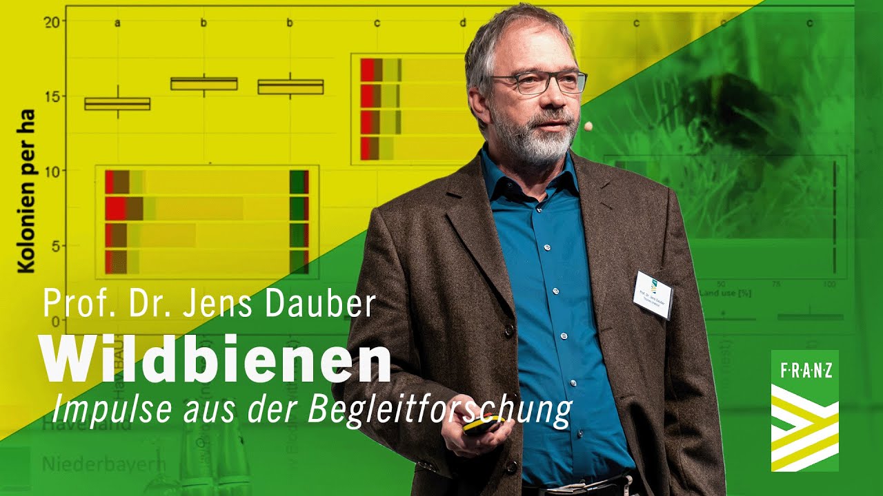 Impulse Begleitforschung - Prof. Dr. Jens Dauber I 2. FRANZ Symposium: Zwischenbilanz 2022