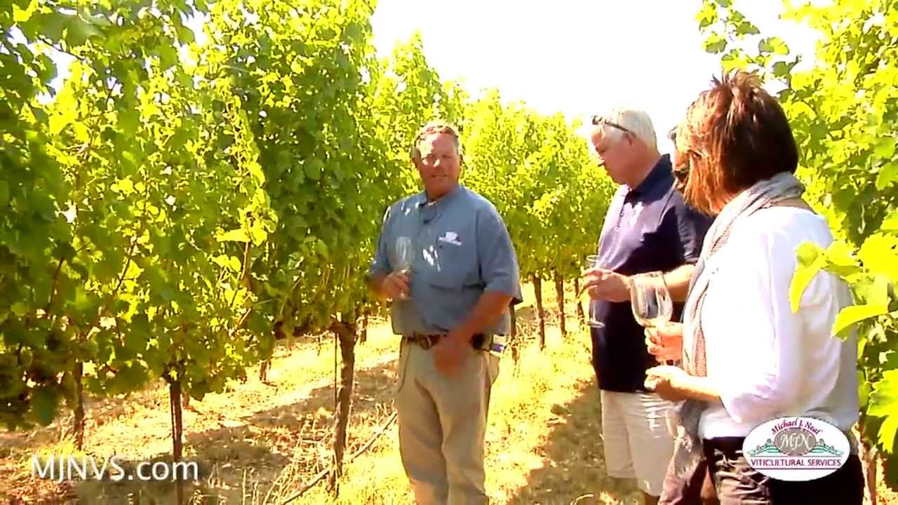 Michael gives a tour of 2 Napa Valley Vineyards