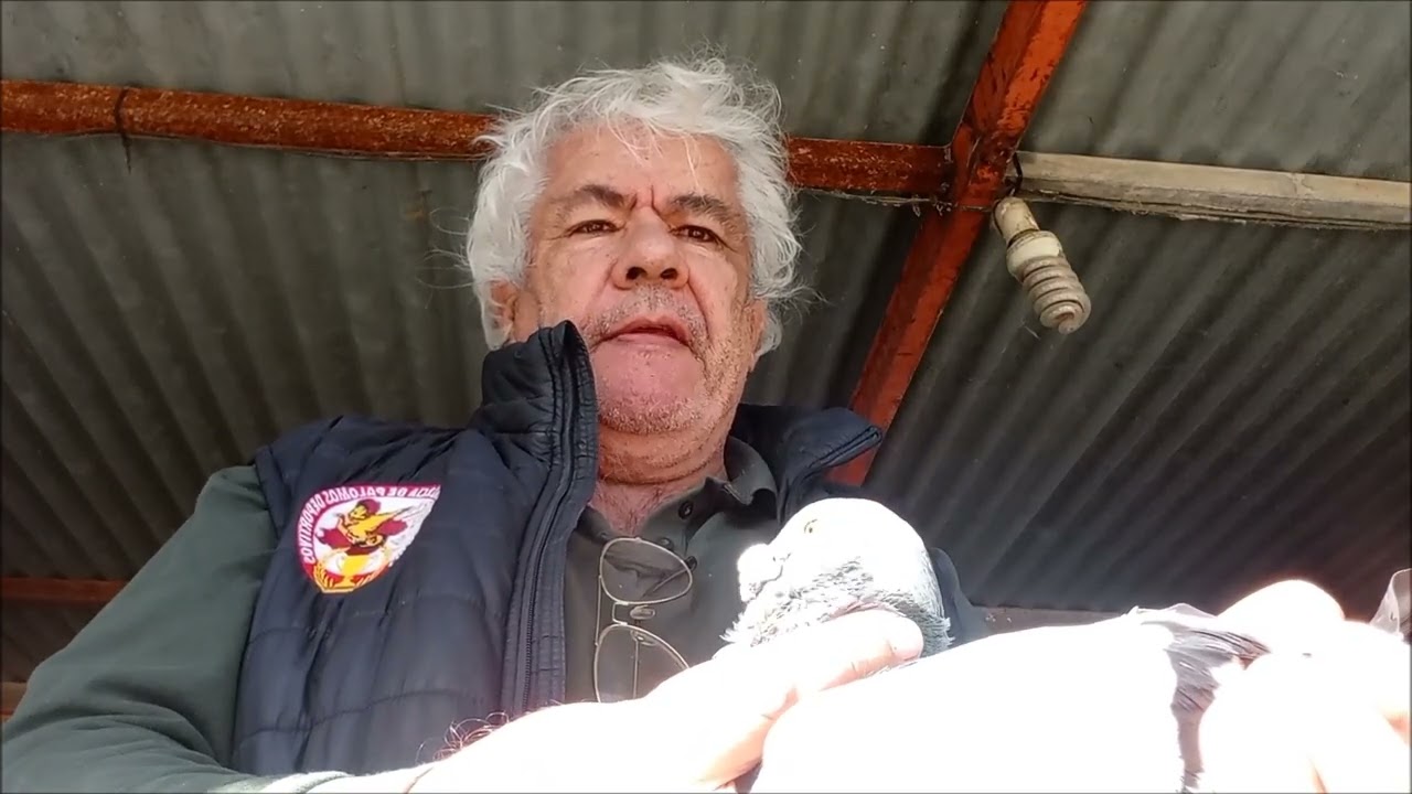 loza ENCASTE 26