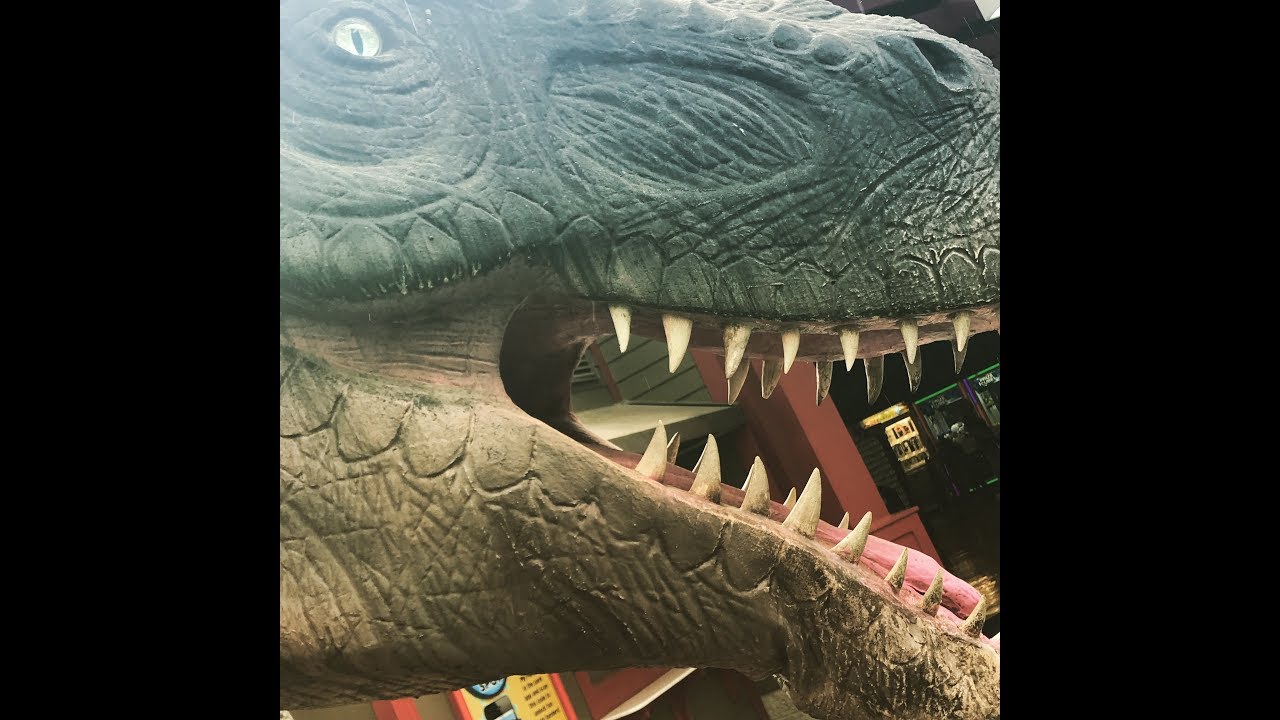 Dinosaurs Alive!!!!