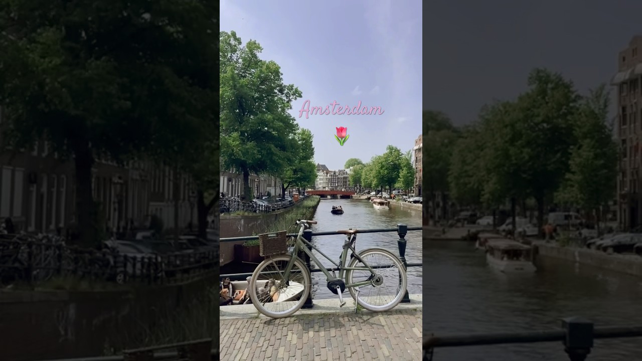 Amsterdam is a NEED on your Travel Bucketlist! 🌷🛫 #amsterdam