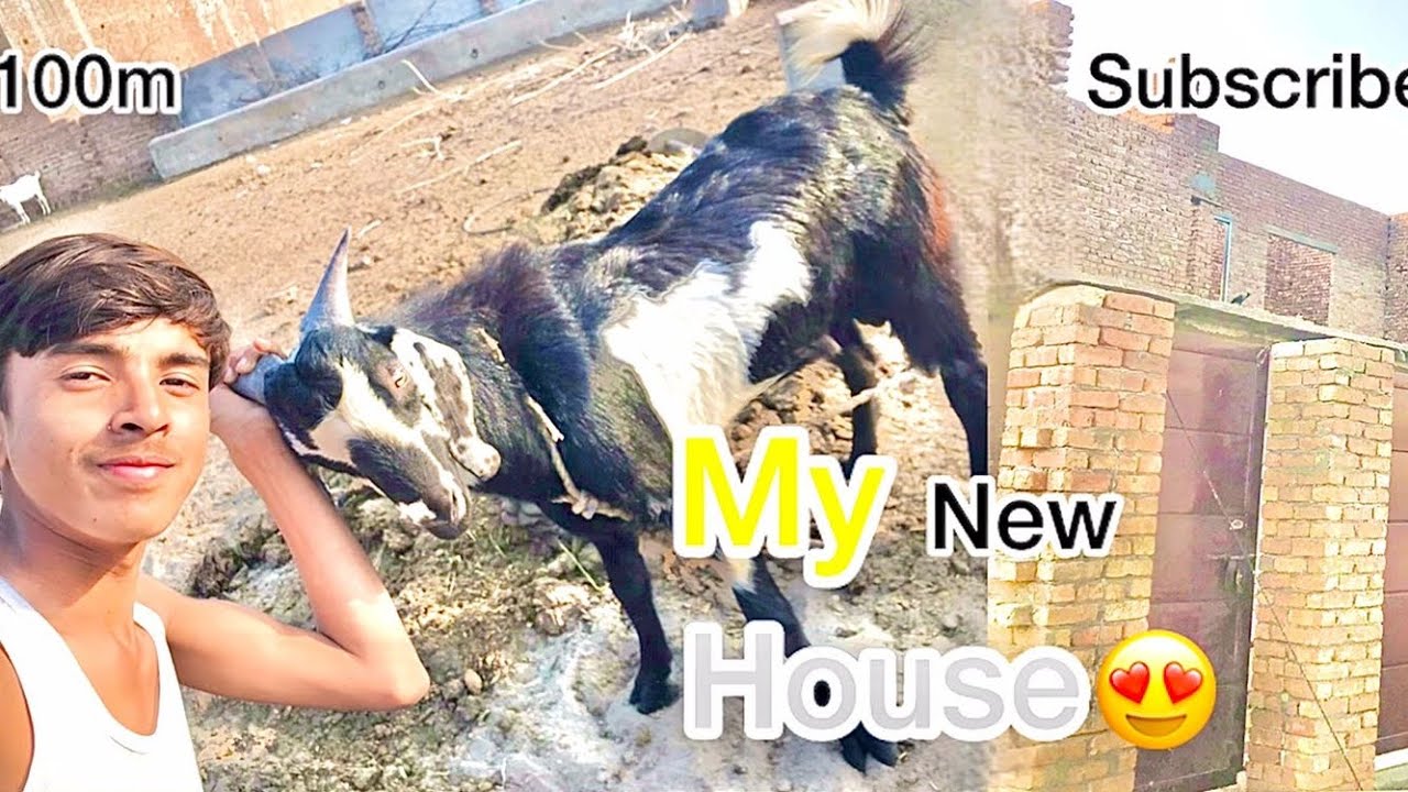 My new house 😍//Awaisshah// #likeandsubscribe #viralvideo #likeandsubscribe 