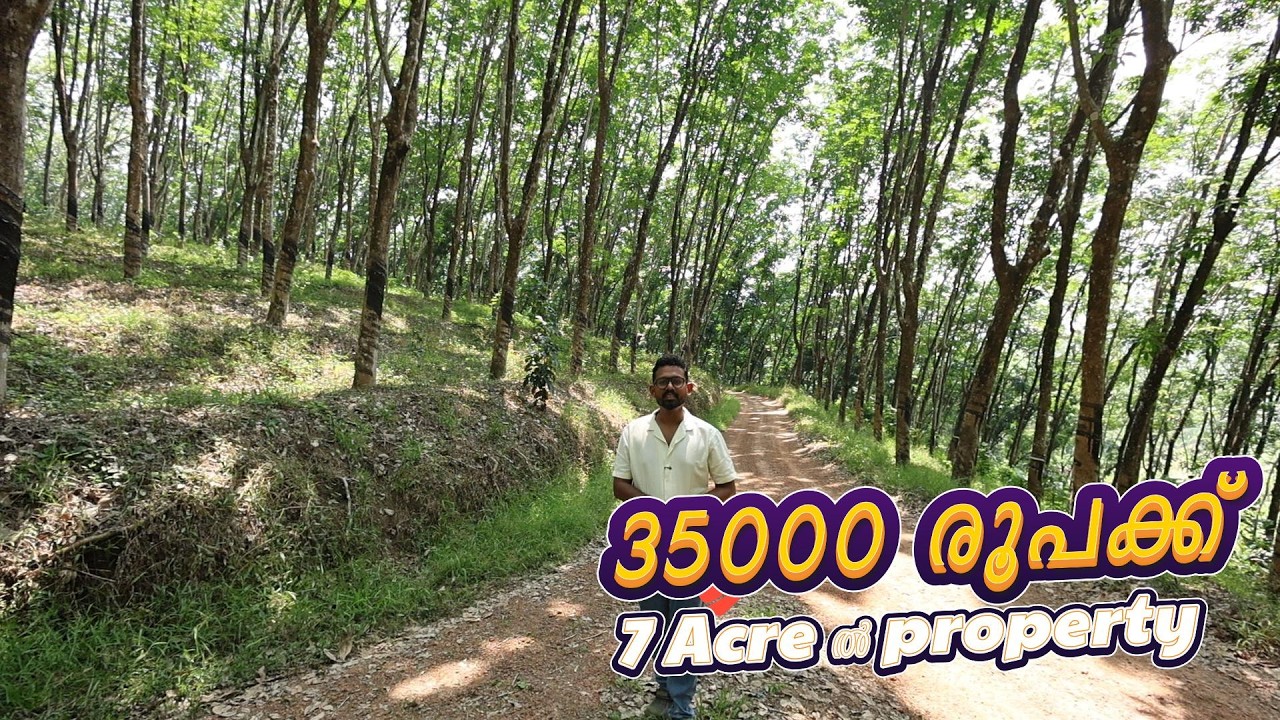 Cent ന് 35000 രൂപക്ക് 7 Acre property വിൽപ്പനക്ക് Owner No.+91 70123 64023 Call b/w 9:00 am- 5:00 pm