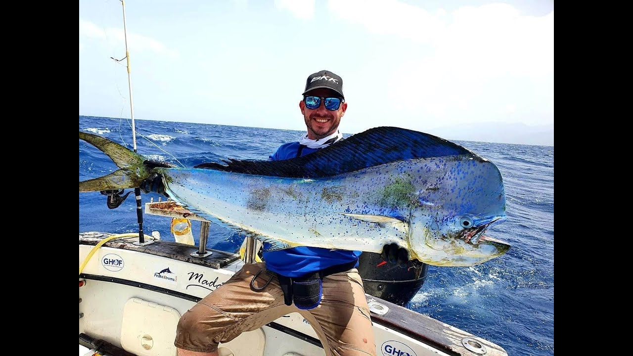 Pêche en haute mer Guadeloupe avec Madatet Fishing