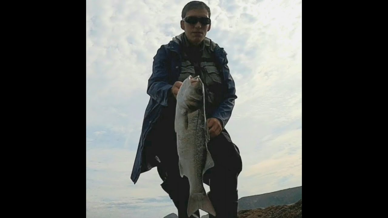 Cap 54: Todo de Bassday SPM para playa. Robalos-lubinas