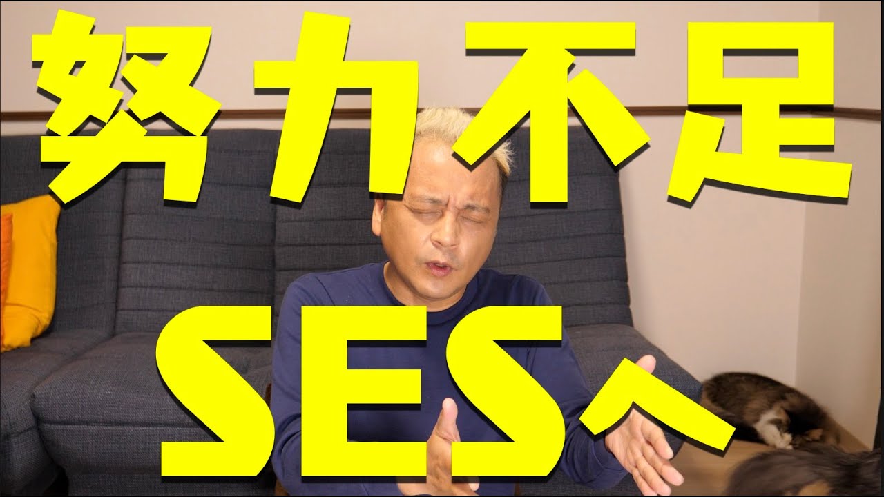 努力不足でSESに転職