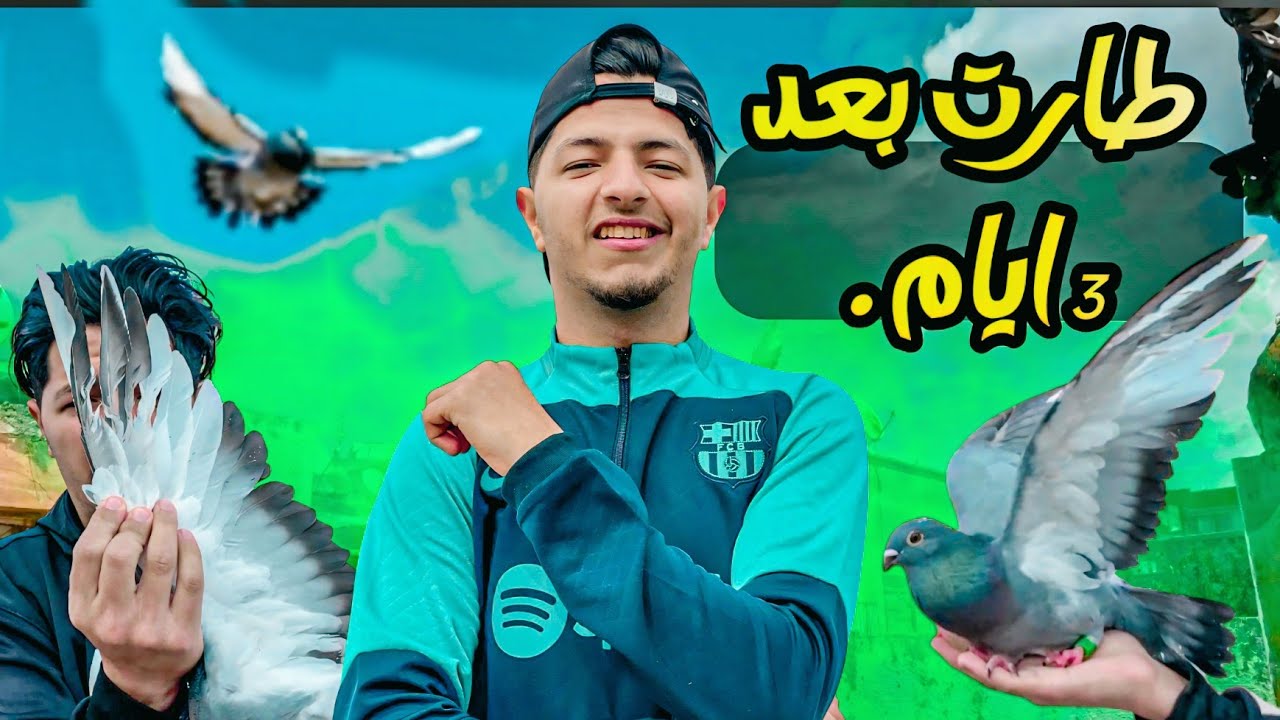 اجي تشوف كيفاش تطير الحمام اول مره 🤔 طلقت حمامه في ثلاثه ايام 🤯