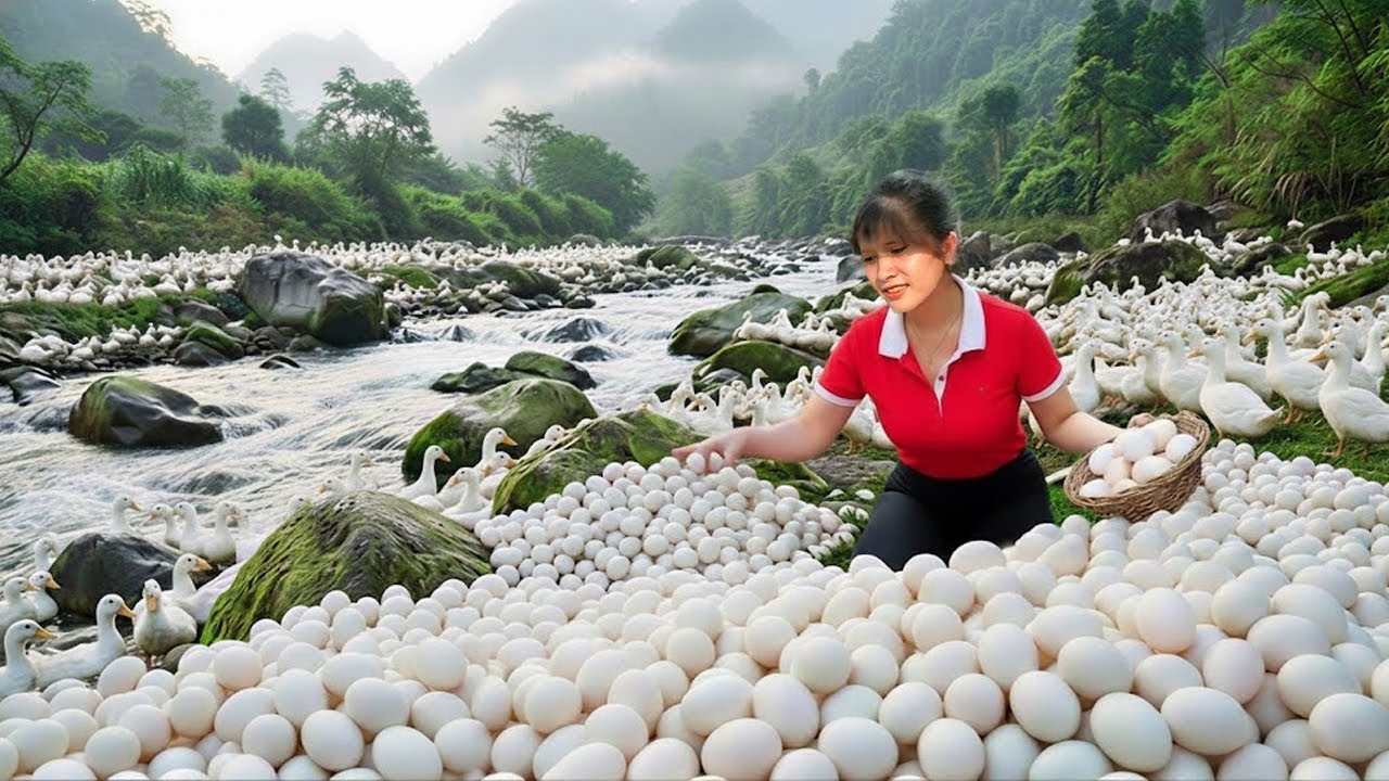 I Harvested 1000 Duck Eggs by the Stream in ONE DAY Using My 3-Wheeled Truck