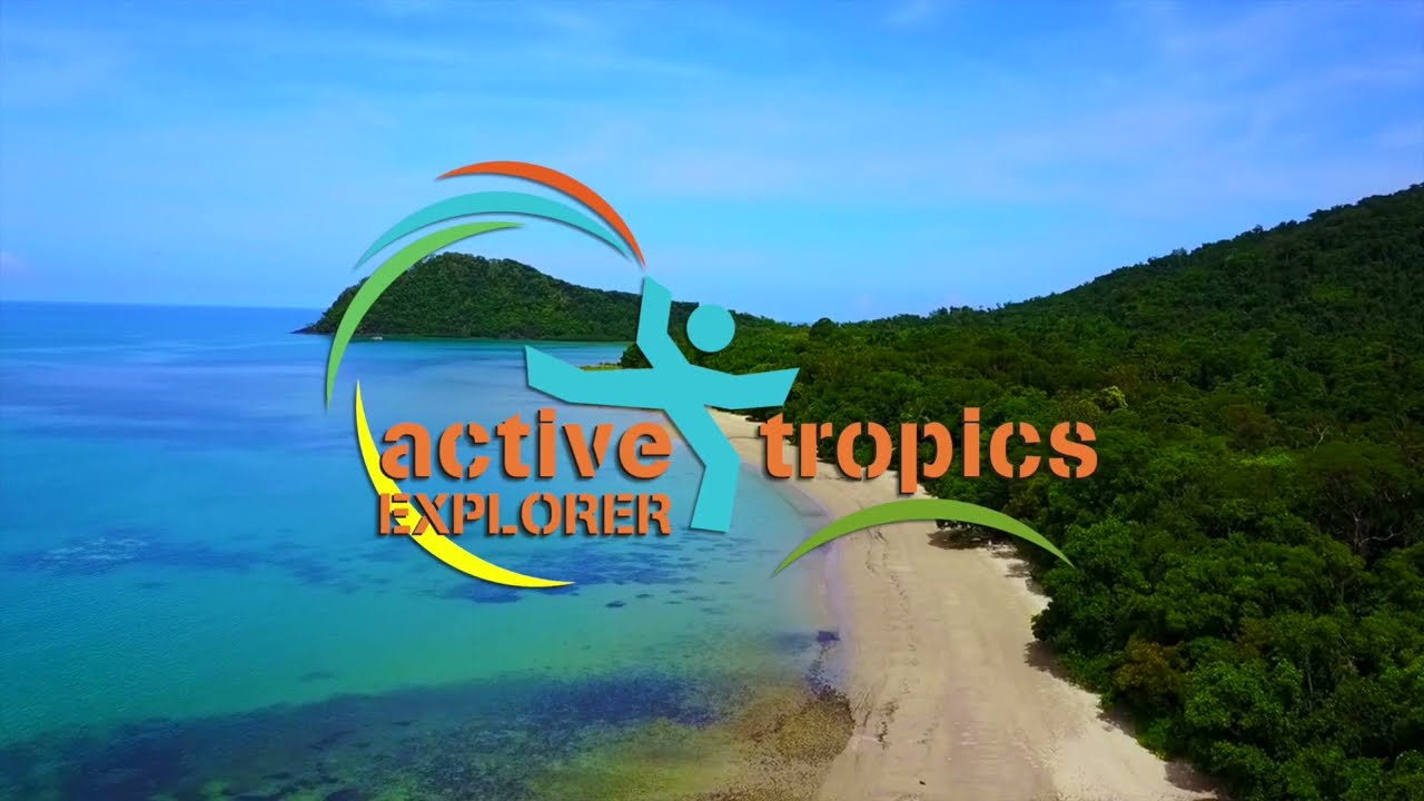 Daintree Rainforest full day tour from Cairns