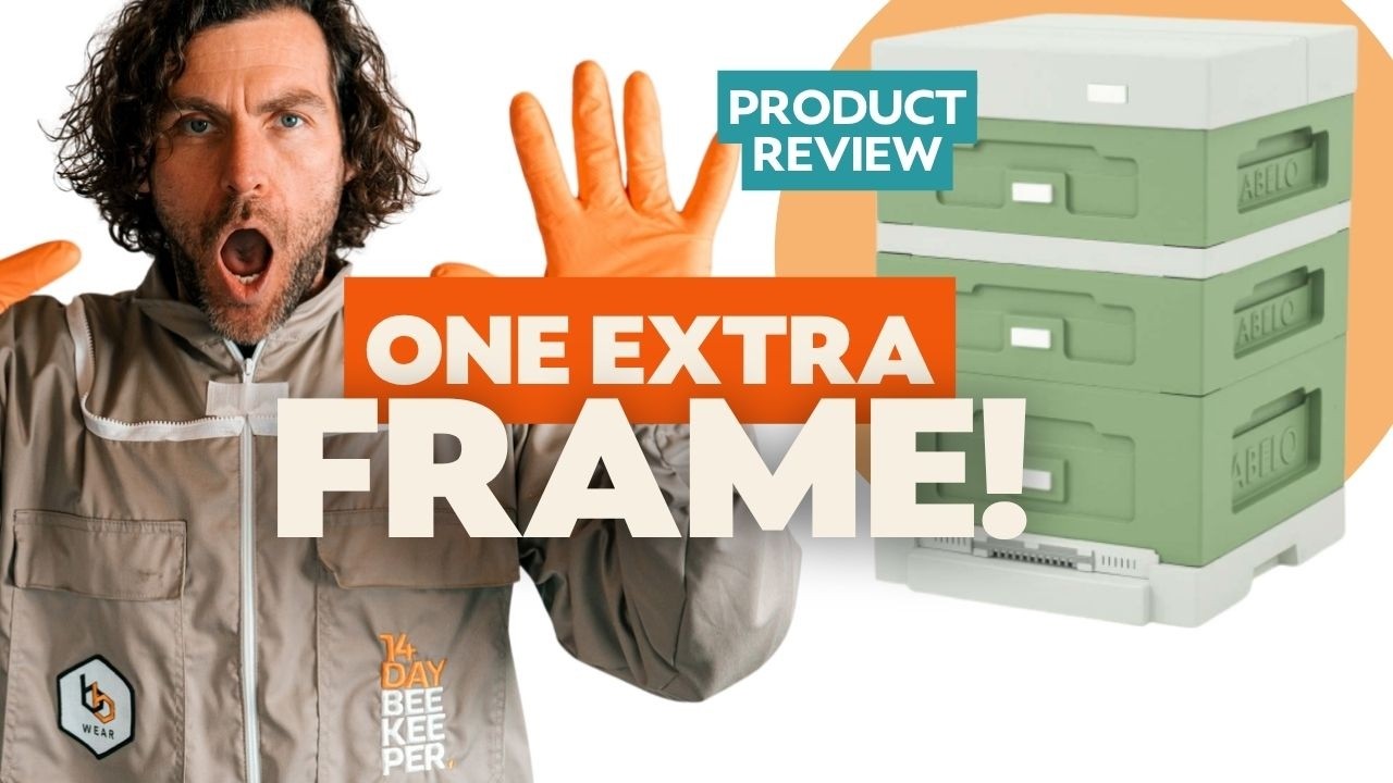 Abelo 12 Frame Poly Hive Review – Is a Polystyrene Beehive Worth It?