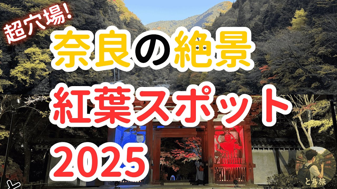 【秋の奈良】みたらい渓谷で絶景紅葉を堪能｜夜は室生寺で感動の紅葉ライトアップ