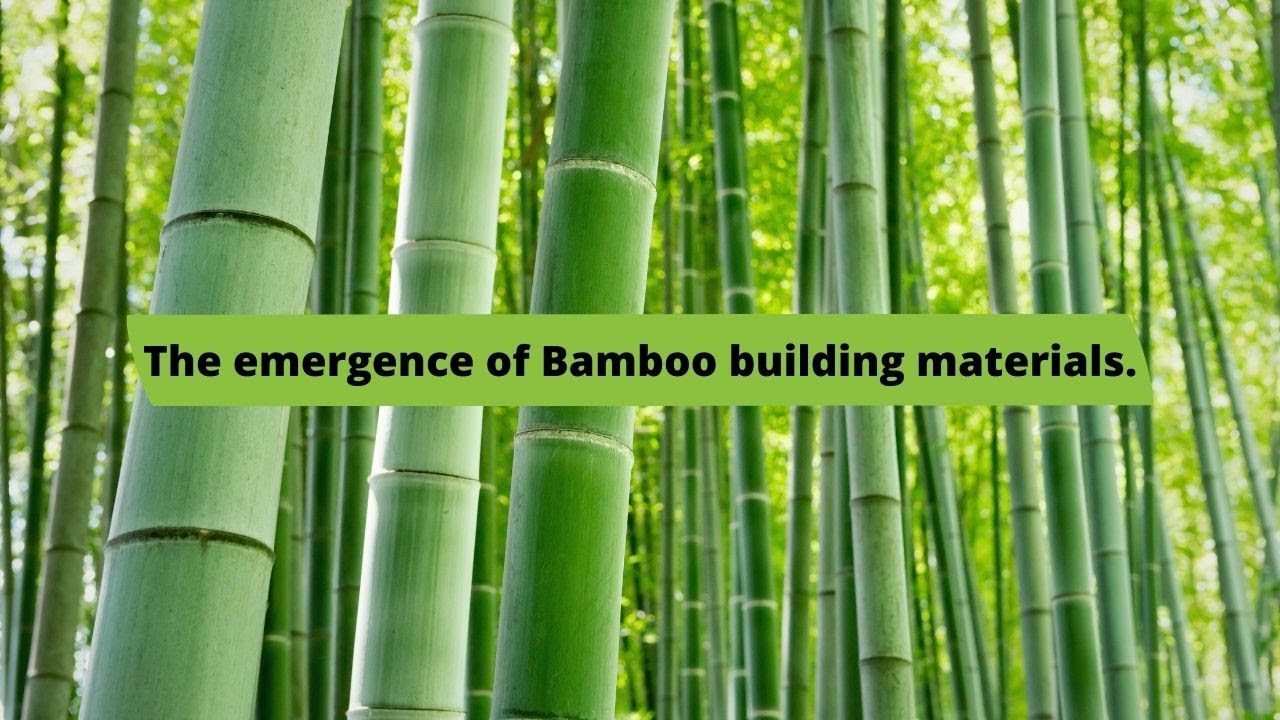 The emergence of Bamboo building materials in the 21st century.