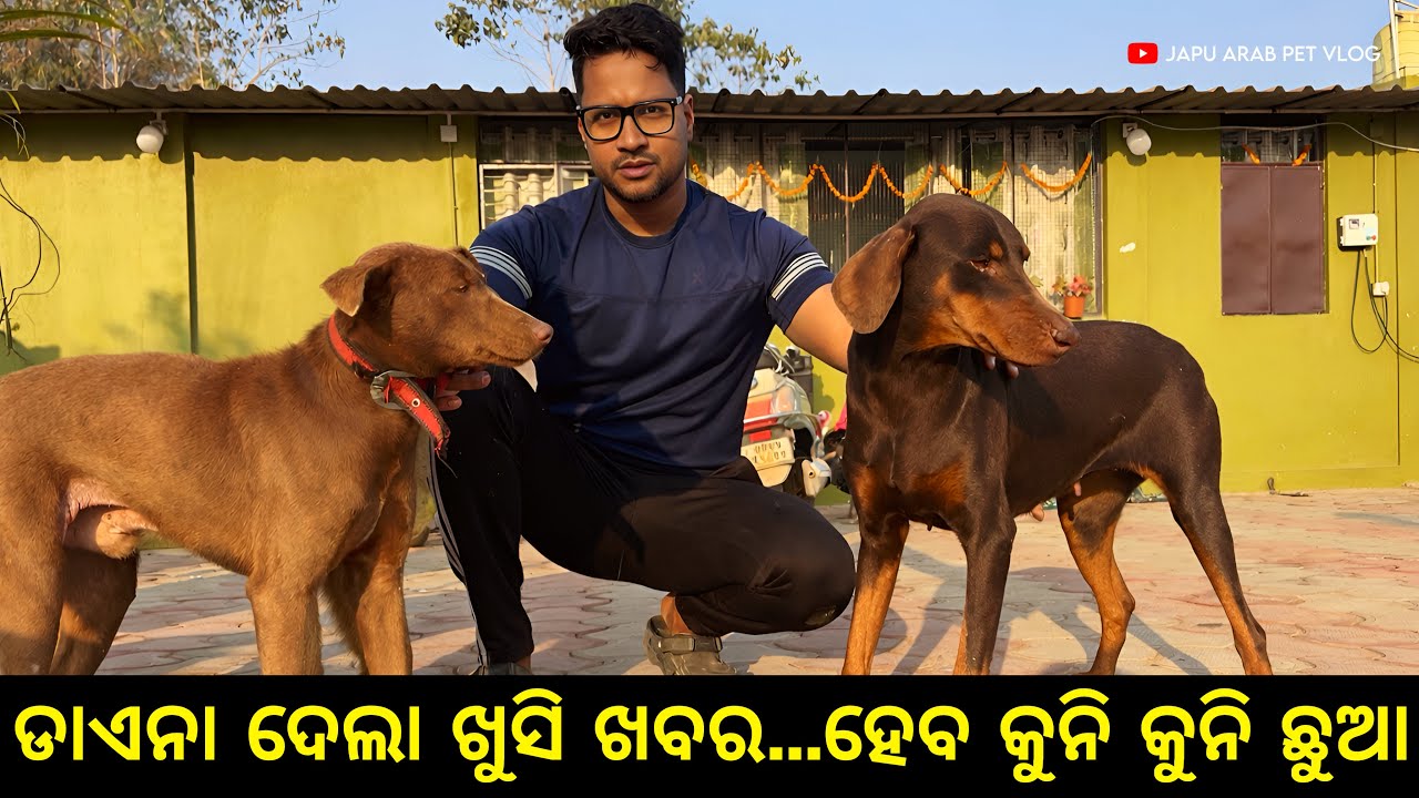 ଡାଏନା ଦେଲା ଖୁସି ଖବର... Mini Zoo ରେ ହେବ କୁନି କୁନି ଛୁଆ 😍