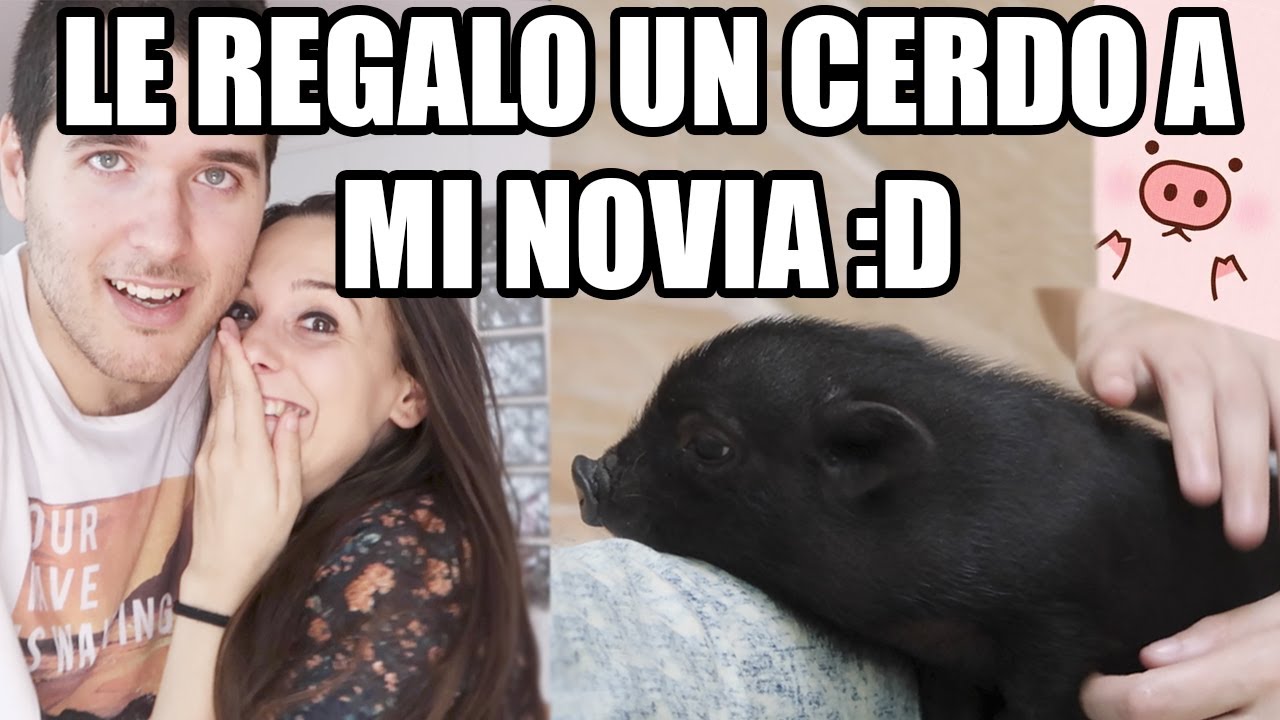 LE REGALO UN CERDO A VIOLETA