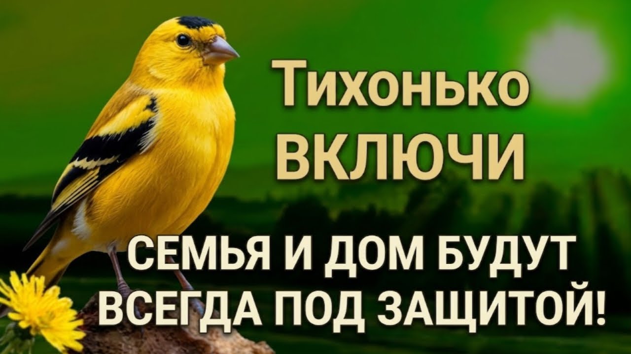 ВКЛЮЧИ И НЕ КОСНЁТСЯ БЕДА РОДНЫХ И ДОМА дуа Всевышнему Аллаху 🔊🤲✨🔑💯