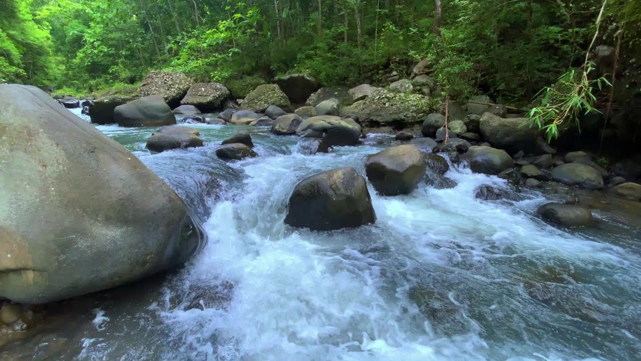 Best Beautiful Relaxing Music | Fresh Water | River Sounds