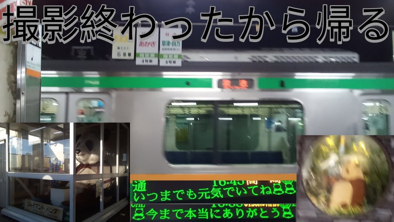 パンダを撮影したから帰ります