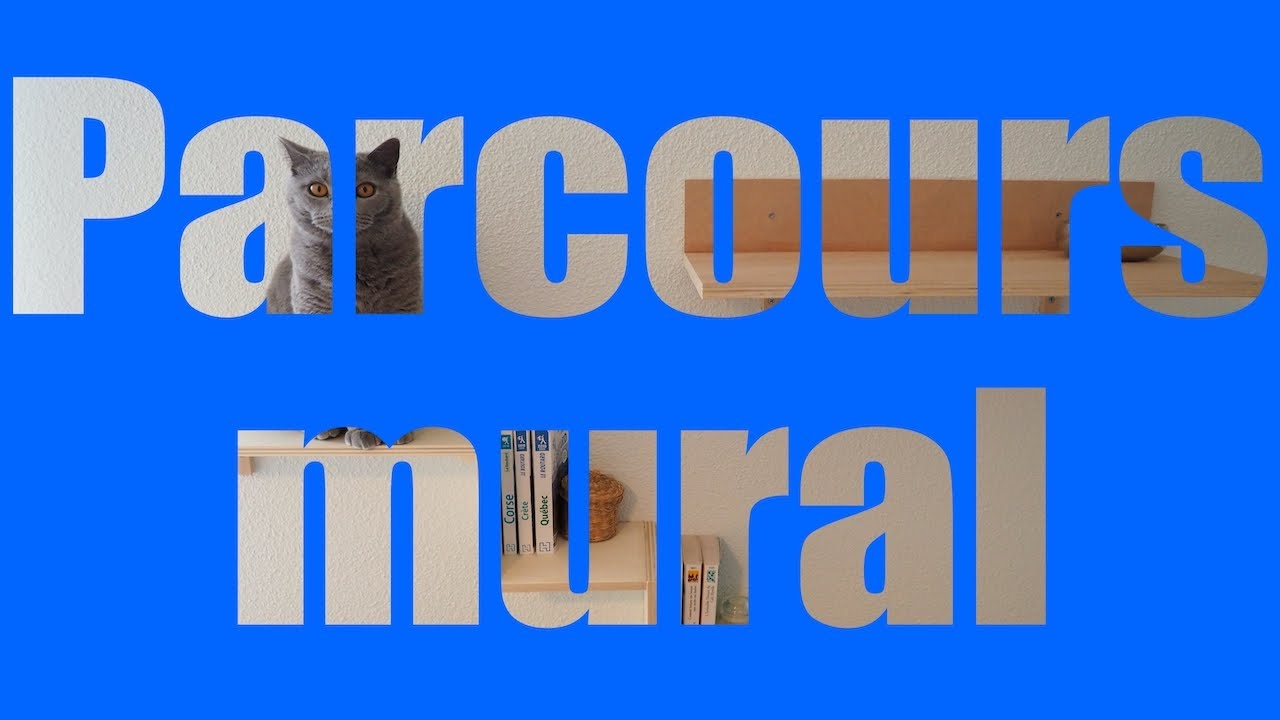 Bricolage - Parcours mural pour chat