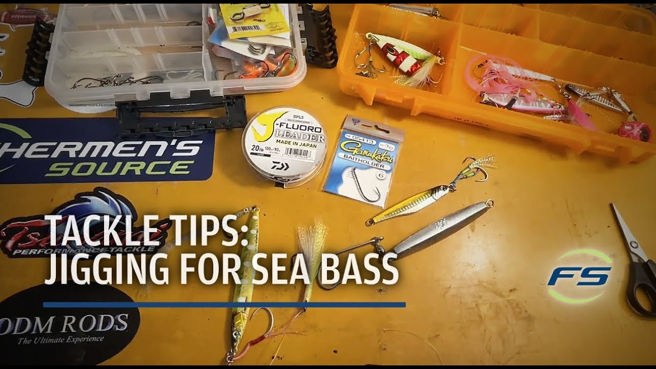 Tackle Tips: Jigging for Sea Bass