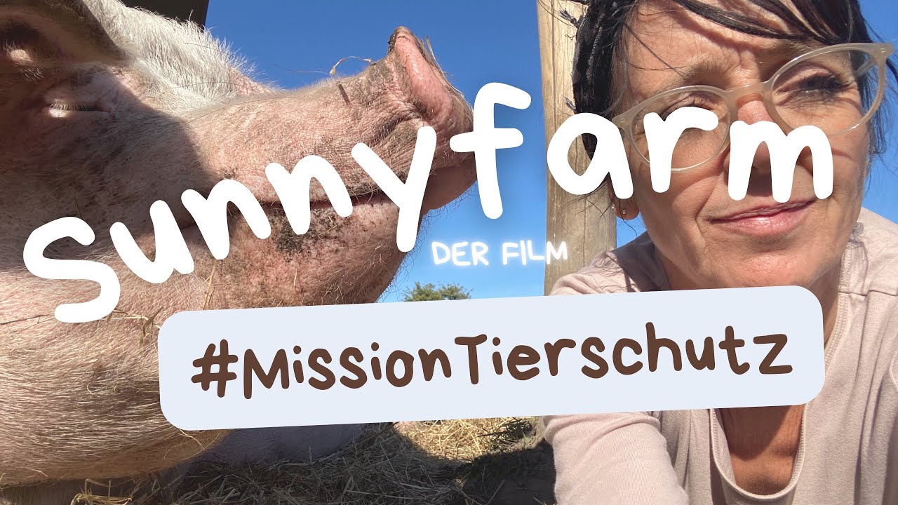 #missiontierschutz Für die rosa Engel vom Lebenshof Sunnyfarm🌱❤️🐷