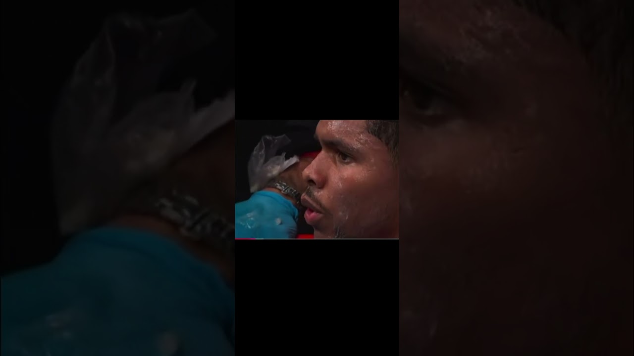 Stevenson shakur vs  teofimo Lopez 