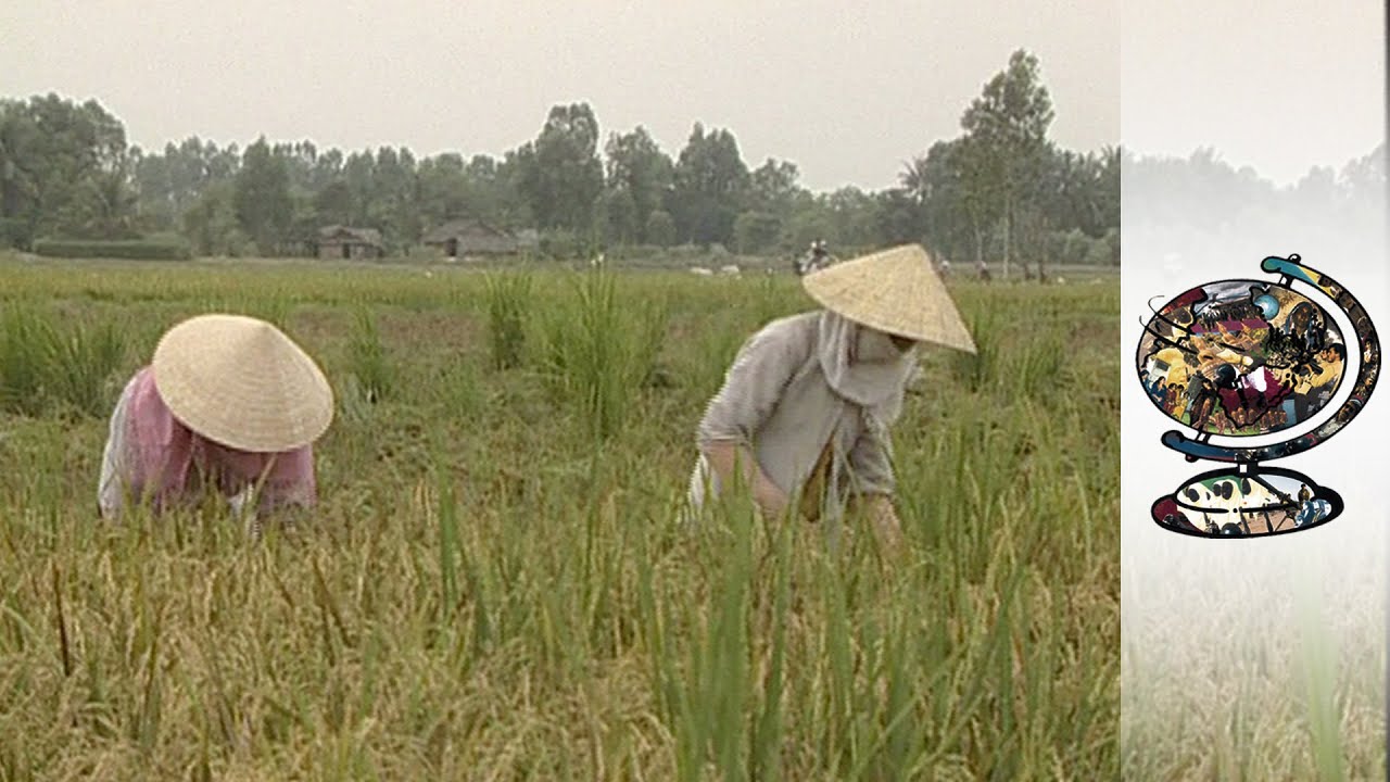 Vietnam Still Struggles 25 Years After The War (2000)