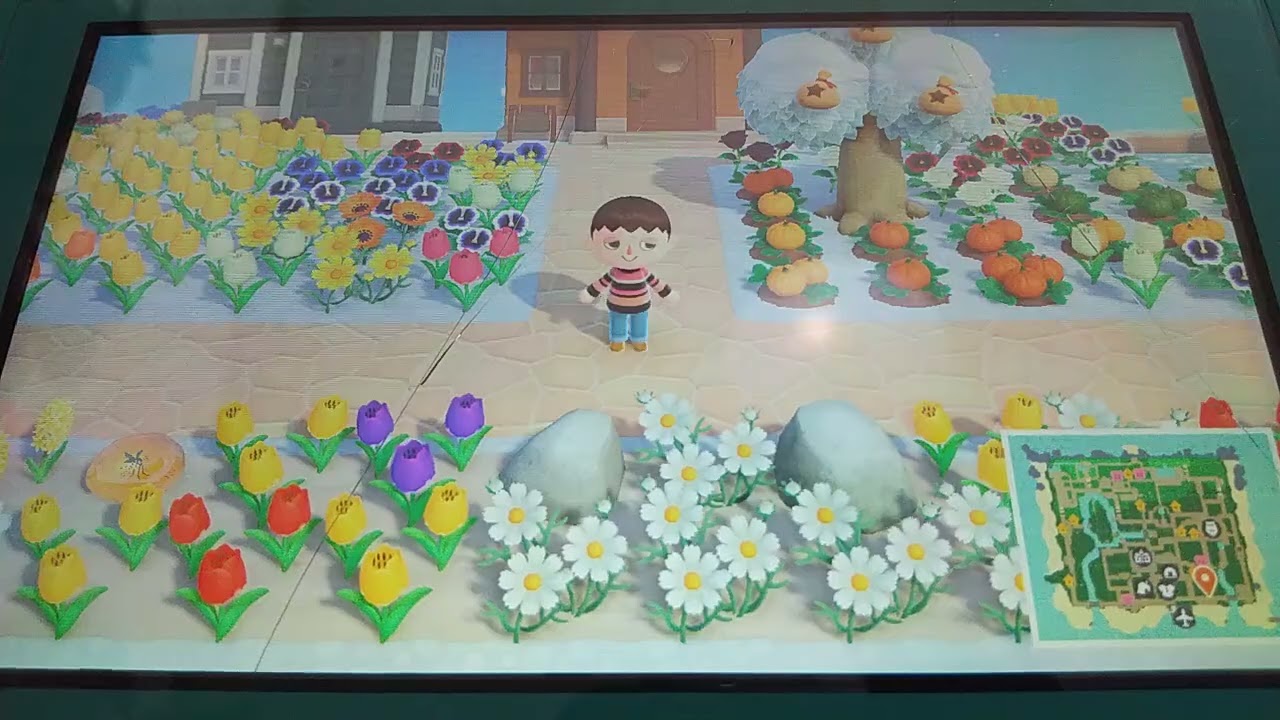 🌤️あつまれどうぶつの森🏝️ 【ゆっくりのんびり動画】
