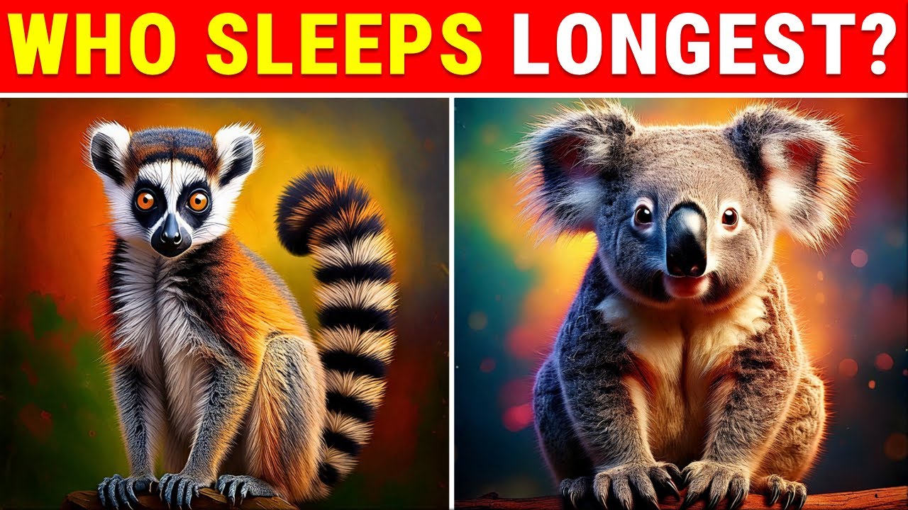 Can You Pass This Tricky Animal Quiz? 🦅 Most People Fail!