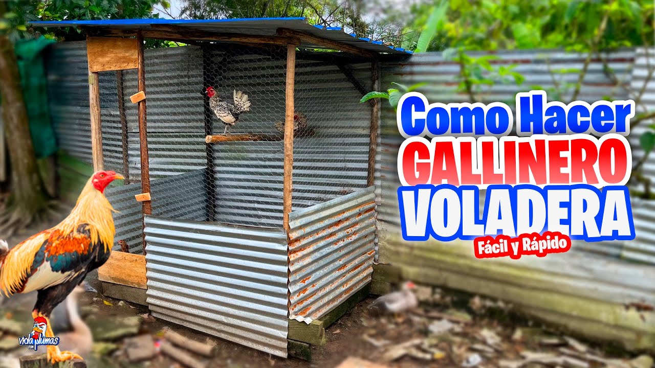 Como hacer una Voladera para Finos 🐓 Fácil y Rápido
