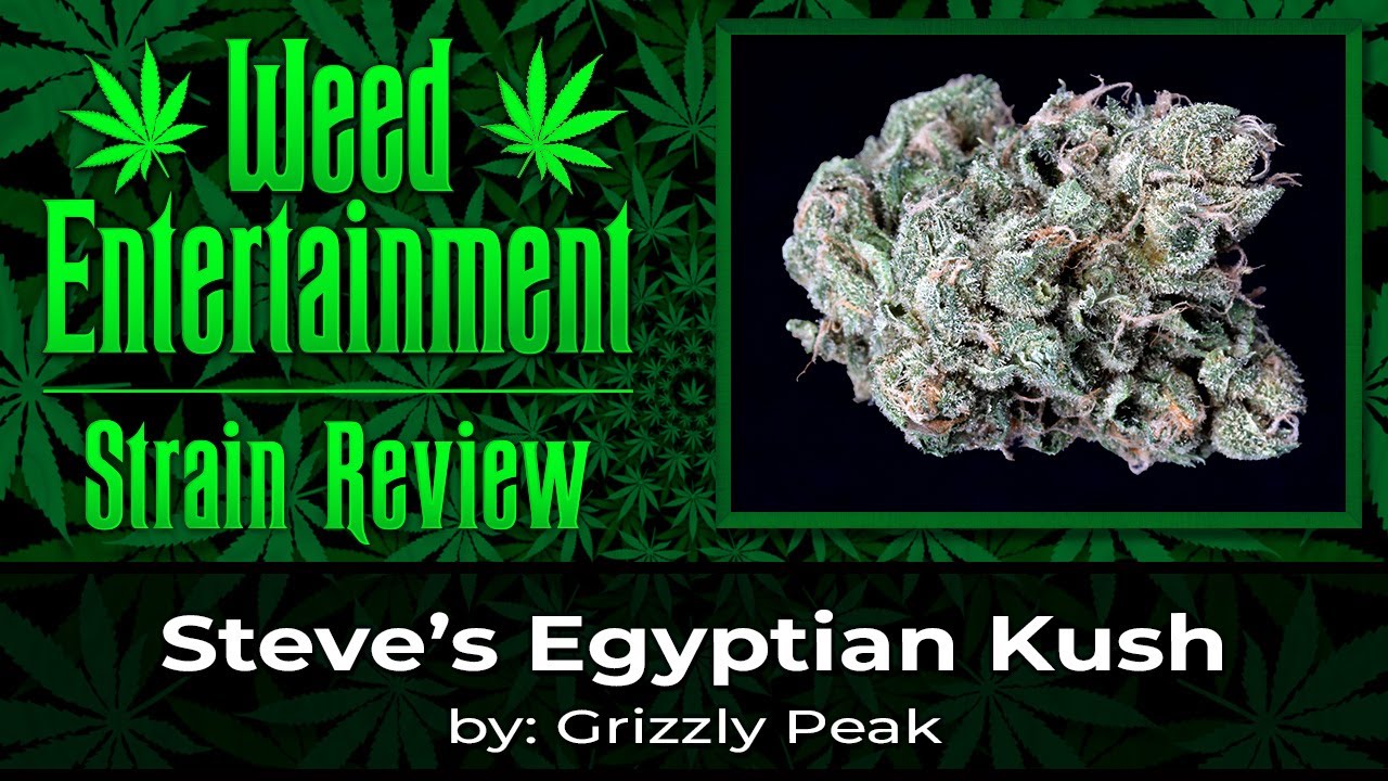 Steve's Egyptian Kush - by Grizzly Peak - Strain Review - February 2023