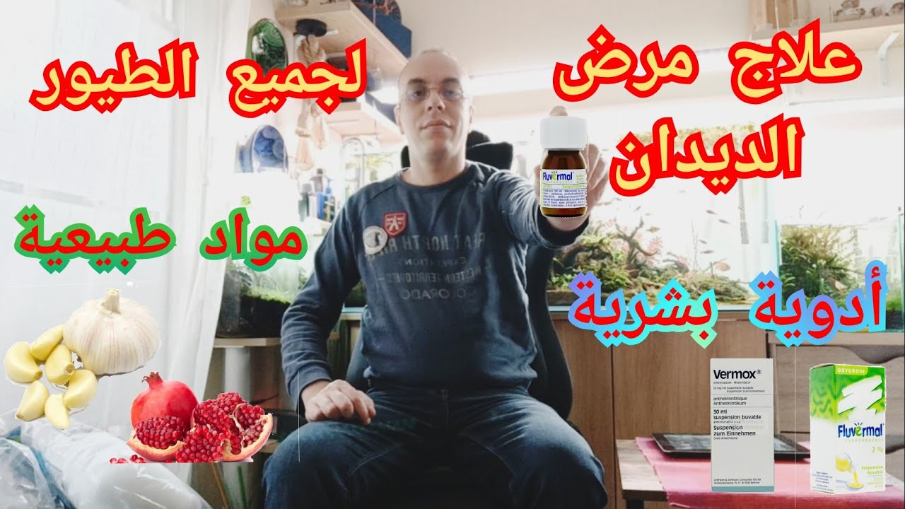 علاج مرض الديدان للطيور بالمواد الطبيعة و أدوية بشرية