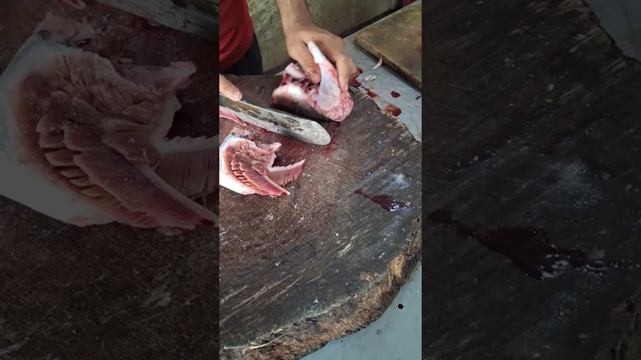 KASIMEDU SIRUTHAI surmai fish #cutting slice 