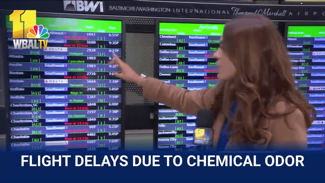 Travelers at BWI-Marshall delayed for hours after ground stop
