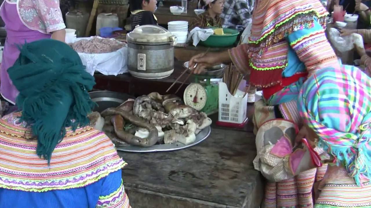 Vietnam Flower Hmong Family in Bâc Hà  đẹp جميل सुंदर  indah สวยงาม красивый