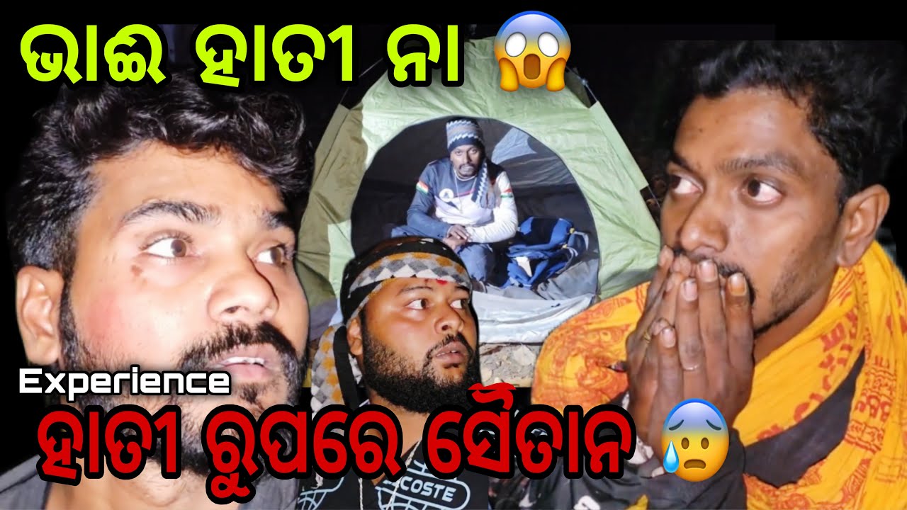 ଭାଈ ହାତି ନା ସୈତାନ 😰 #694