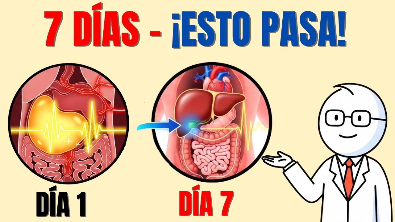 Lo que realmente pasa con tu grasa visceral después de 7 días en déficit calórico