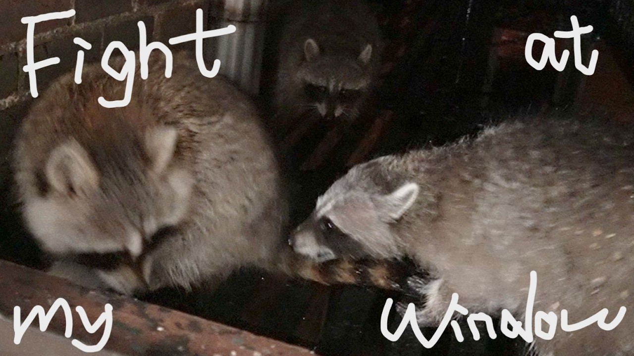 Mom and Kid Fighting the Intruder