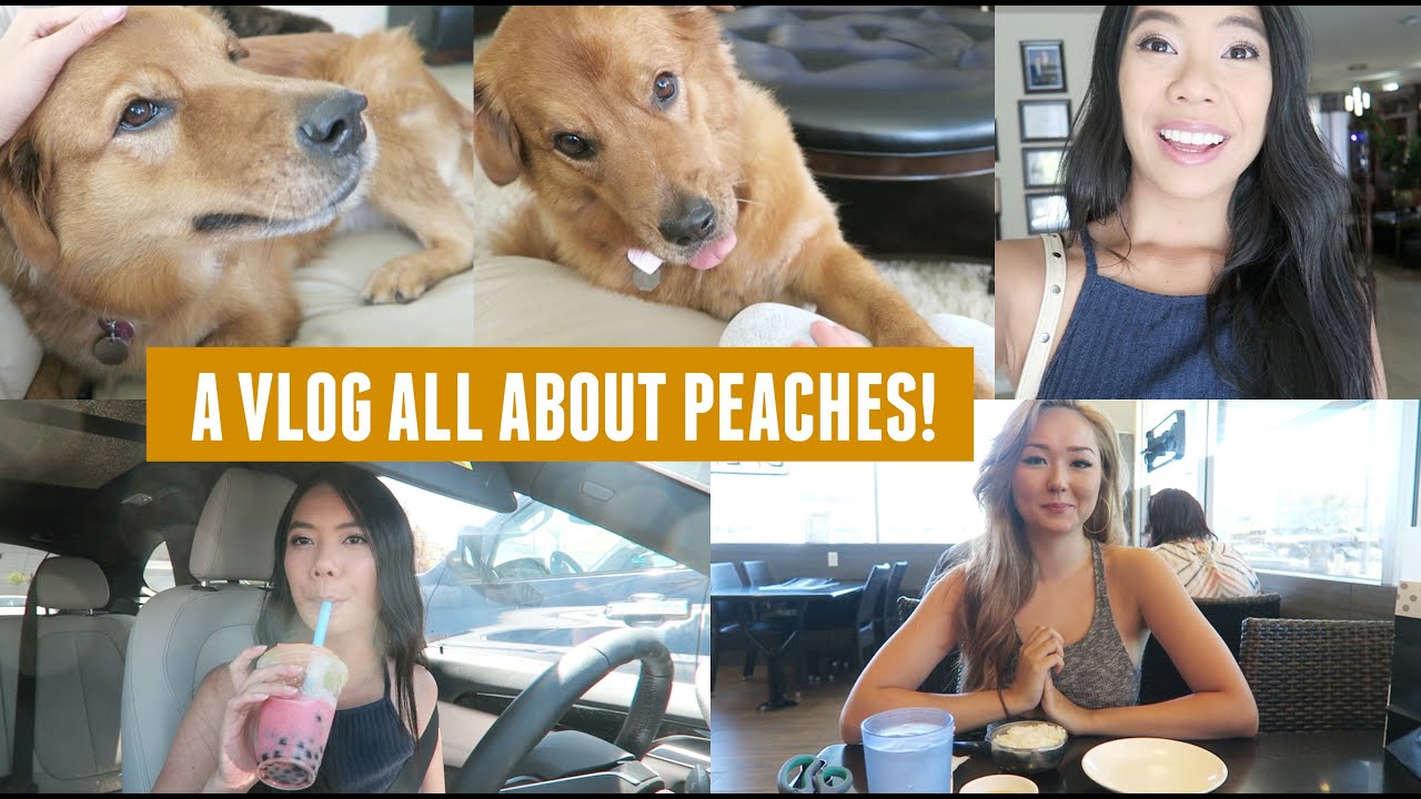 Driving Vlog Peaches Storytime & Seeing Old Friends!