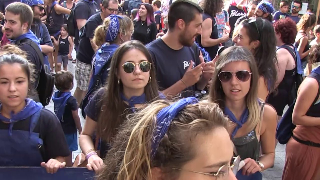 Manifestaci&oacute; Blava FMBIB 2019