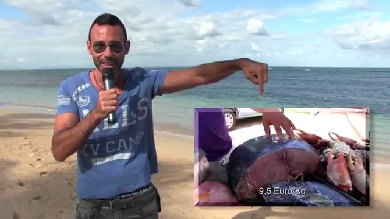 Guido la Guida a Las Terrenas - L'arrivo dei pescatori!