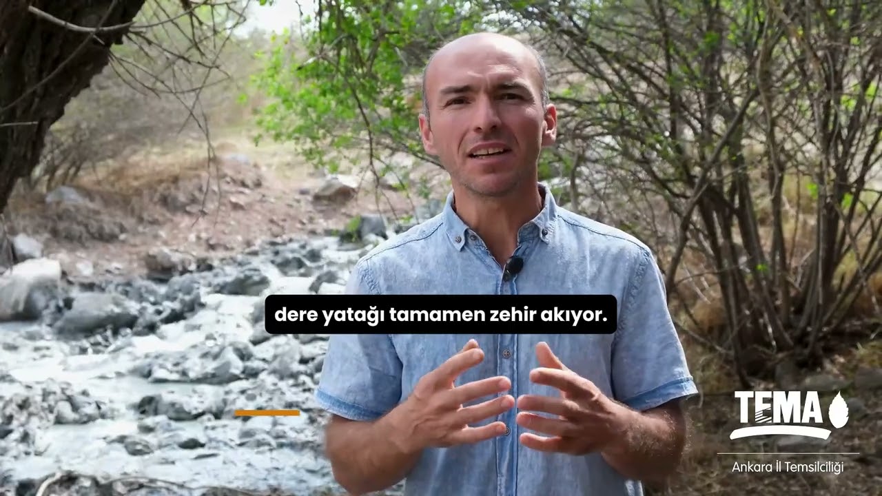 GEREDE ÇAYI ZEHİR AKIYOR