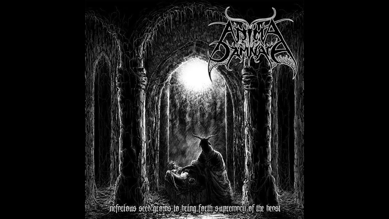 Anima Damnata - Your Life Is Cursed