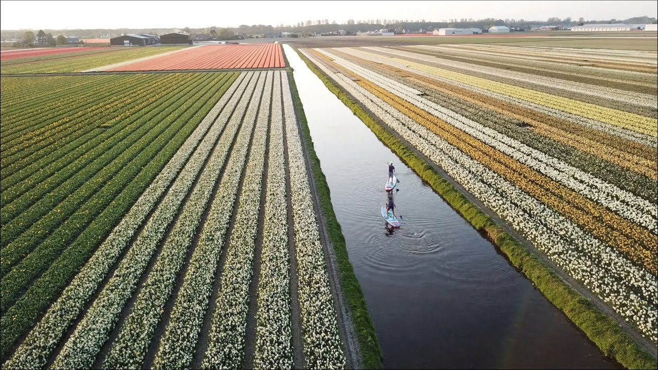 SUP Euro Trip #2: Exploring Holland with Bart & Franz