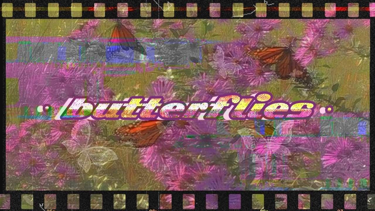 【SeeH】butterflies [Lofi]