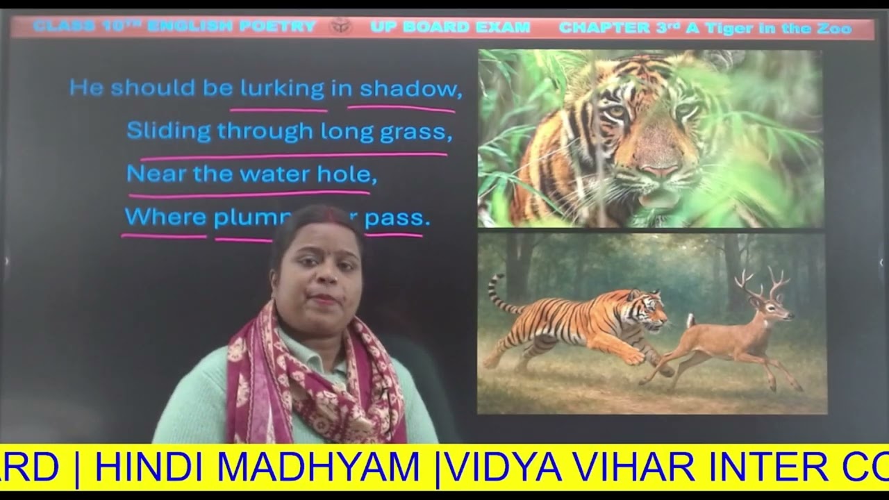 A TIGER IN THE ZOO| English L-3 | Class-10 | Hindi Medium | NCERT syllabus