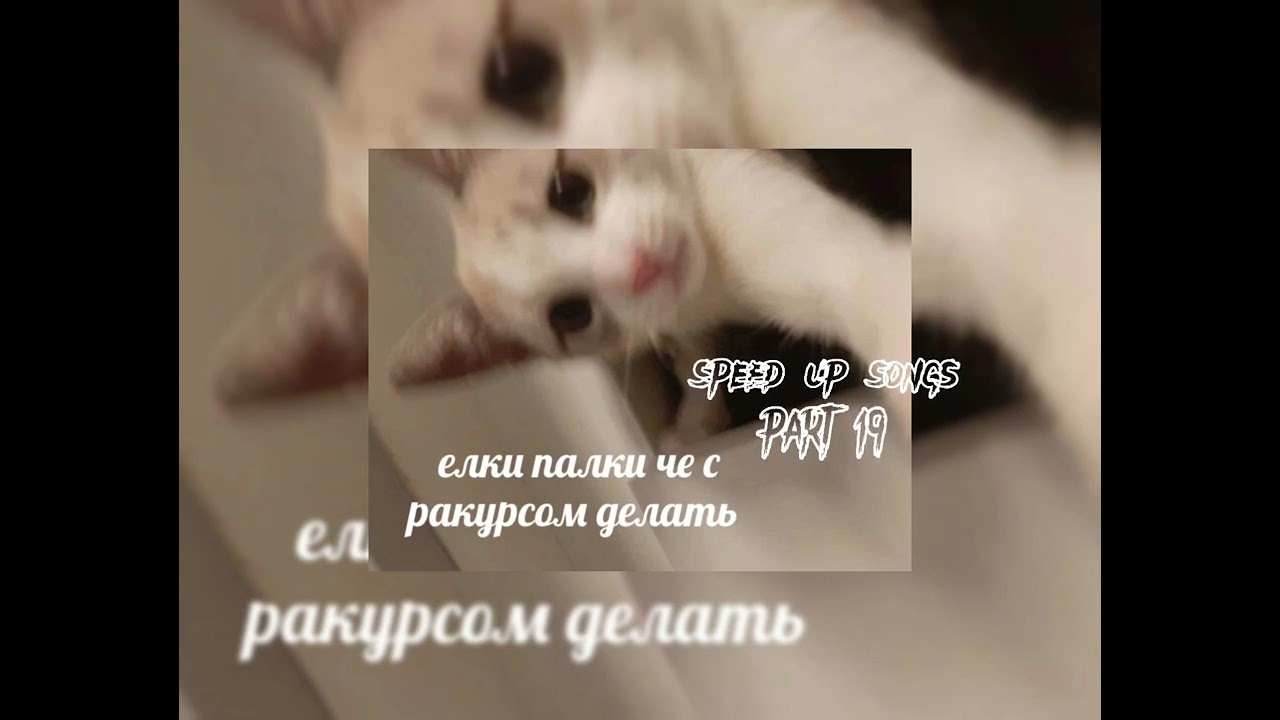 ПОЛМАТЕРИ - ТРЦ (спид ап // speed up)